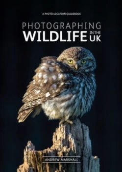 Image of Photographing wildlife in the UK by Andrew Marshall