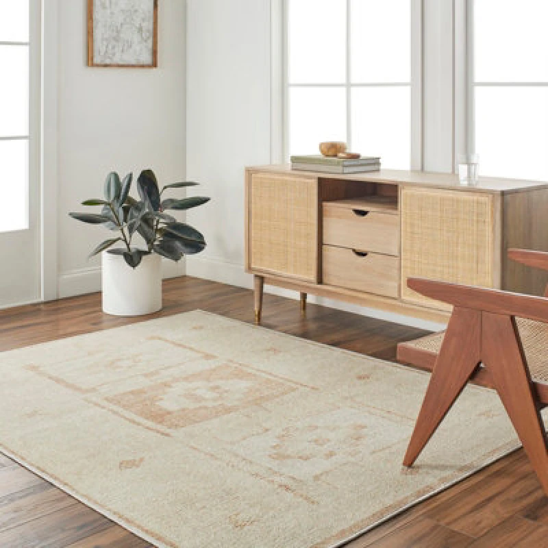 Image of Becki Owens X Livabliss Global Berber Apricot Solana Area Rug 120 X 170 Cm - Easy Care, Ideal For Living Room & Bedroom