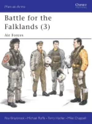 Image of battle for the falklands air forces