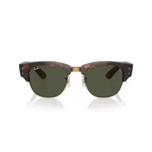 image of Ray-Ban RB 0316S (990/31) Sunglasses