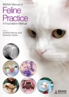 Image of BSAVA Manual of Feline Practice : A Foundation Manual