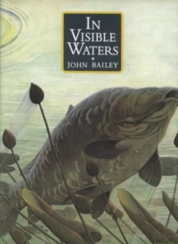 Image of In Visible Waters by John Bailey Hardback