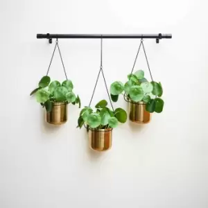 image of Ivyline Linear Hanging Planters In Black And Gold - 81Cm