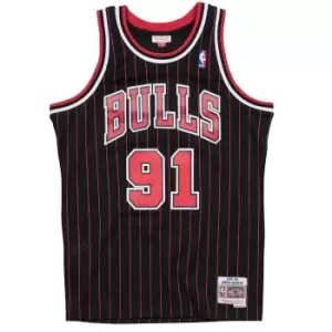 image of Mitchell And Ness Nba Chicago Bulls 1995-96 Alternate Swingman Jersey Dennis Rodman, Black, Male, Basketball Jerseys, SMJYGS18150-CBUBLCK9