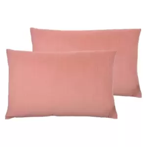 Image of Contra Twin Pack Polyester Filled Cushions