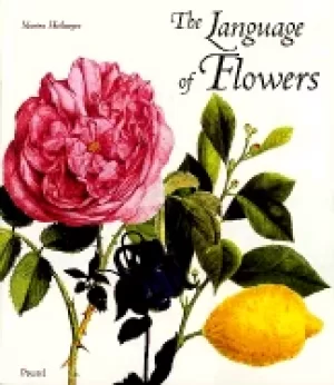 Image of language of flowers symbols and myths
