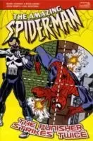 Image of Punisher Strikes Back