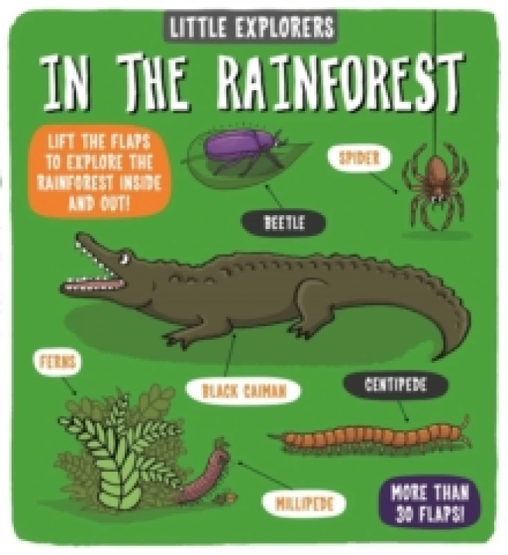 Image of Dynamo Ltd. Little Explorers: In the Rainforest Book Multi unisex