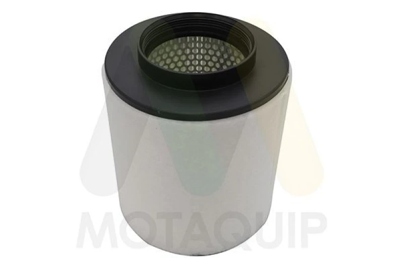 Image of MOTAQUIP Air filter MOTAQUIP LVFA1767