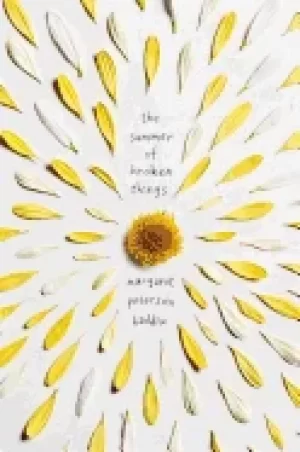 Image of summer of broken things