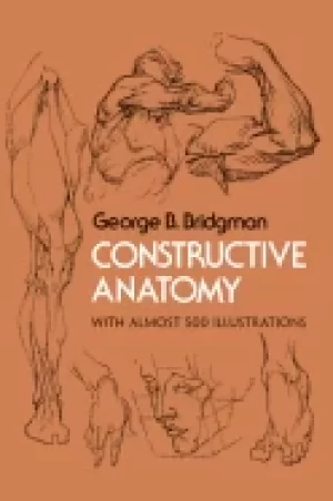 Image of constructive anatomy