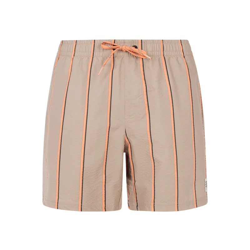 Image of Protest Swim shorts Protest Gonz Marron Male S
