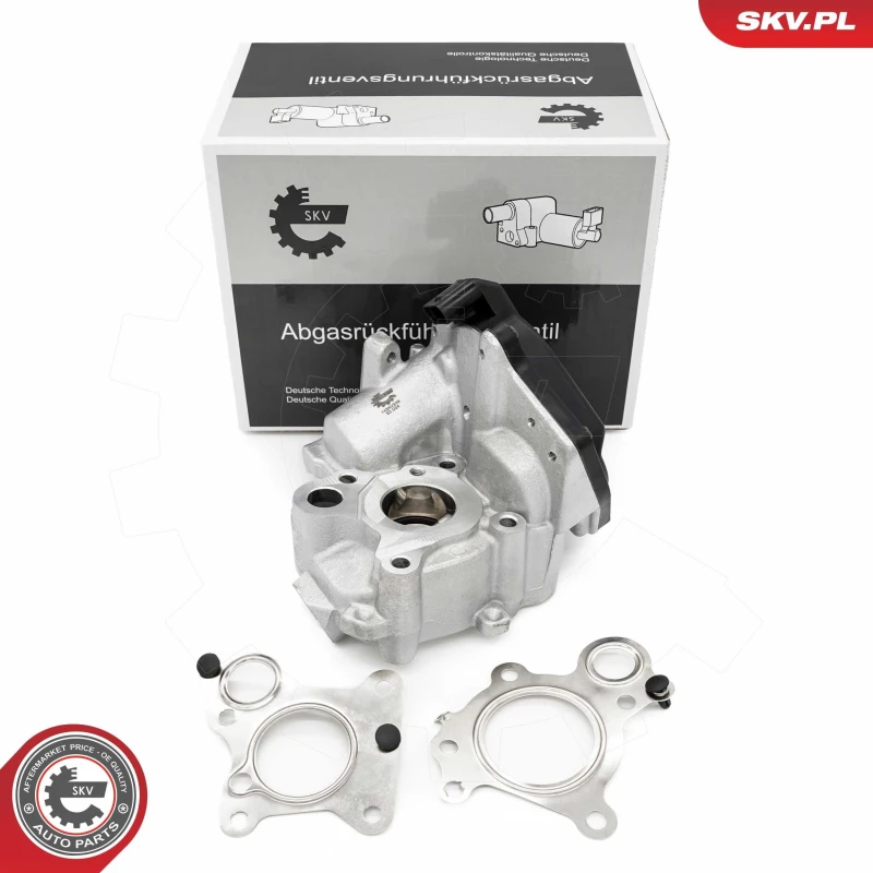 Image of ESEN SKV EGR valve ESEN SKV 14SKV259