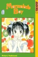 Image of marmalade boy vol 1