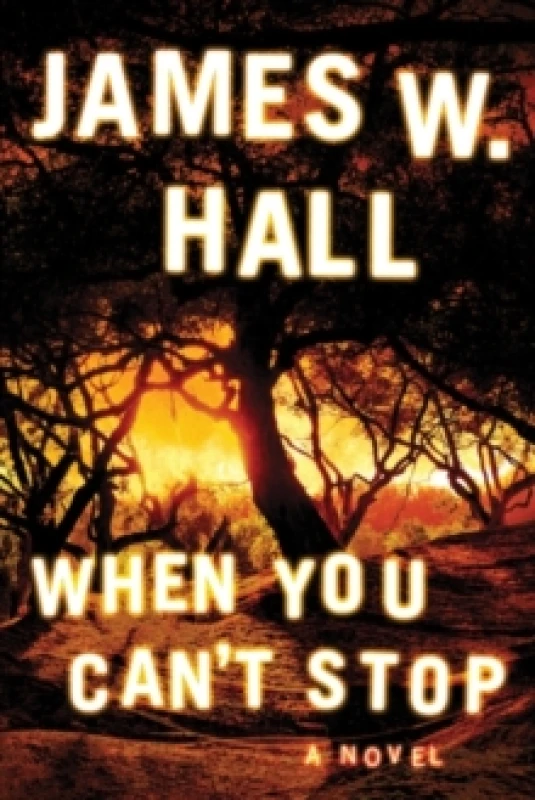 Image of When You Can't Stop Paperback / softback