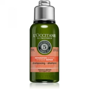 image of LOccitane Aromachologie Regenerating Shampoo for Dry and Damaged Hair 75ml