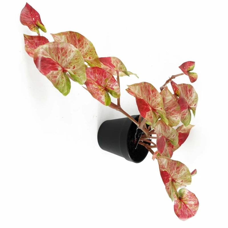 Image of Leaf Artificial Hanging Trailing Plant Plant Pink Splash Caladium Botanik Pink