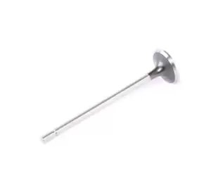 Image of FRECCIA Exhaust Valve R6030/R BMW,RENAULT,NISSAN,8 (E31),CLIO II (BB0/1/2_, CB0/1/2_),Clio III Schragheck (BR0/1, CR0/1),TWINGO II (CN0_)
