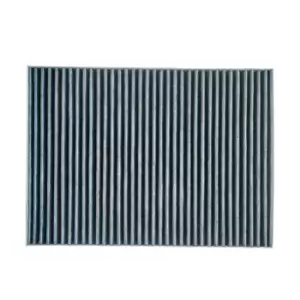 Image of RIDEX PLUS Pollen filter VW,AUDI,SKODA 424I0489P JZW819653,1J0819644A,1J0819644 1J0819644A,JZW819653