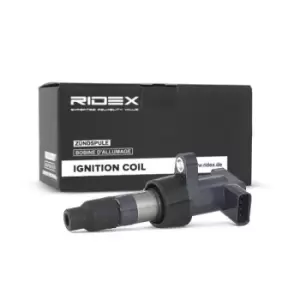 Image of RIDEX Ignition coil 689C0055 Coil pack,Ignition coil pack JAGUAR,XF (_J05_, CC9),S-Type (X200),X-Type Limousine (X400),XJ Limousine (X350, X358)
