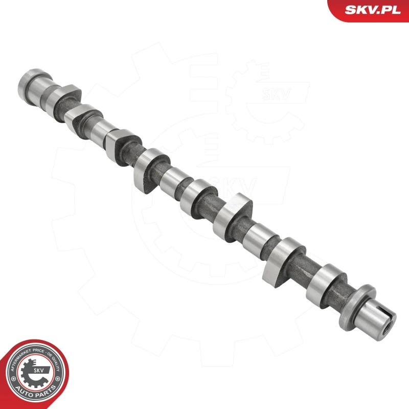Image of ESEN SKV Camshaft ESEN SKV 80SKV016