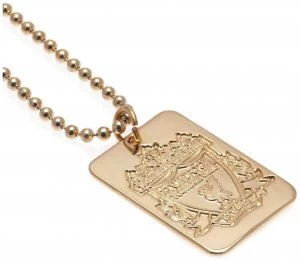 image of Gold Plated Liverpool Dog Tag & Ball Chain.