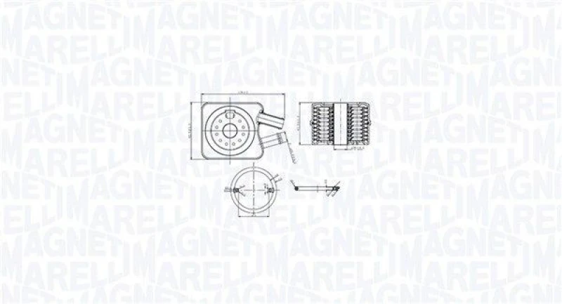 Image of MAGNETI MARELLI Engine oil cooler MAGNETI MARELLI 350300003200