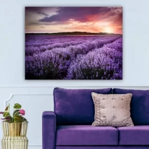 Image of 446431585_70100 Multicolor Decorative Canvas Painting