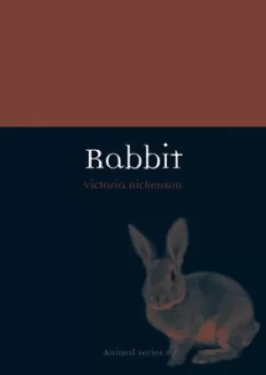 Image of Rabbit by Victoria Dickenson
