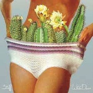Image of Stiff by White Denim Vinyl Album