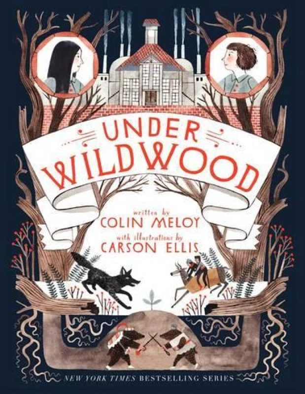 Image of Under Wildwood by Colin Meloy Book