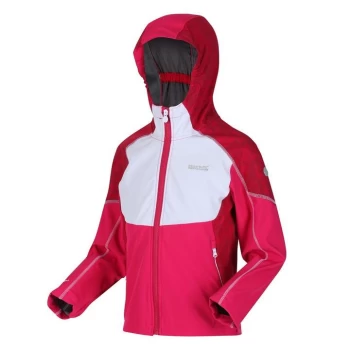 Image of Regatta Acidity IV - Red