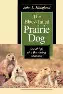 Image of black tailed prairie dog social life of a burrowing mammal