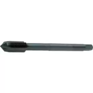 Image of EP11 M12X1.25 6H St HSS-XS1 Sp/Pt Tap