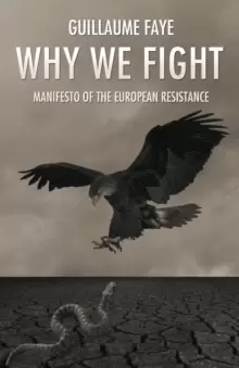 Image of Why We Fight : Manifesto of the European Resistance