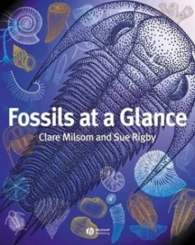 Image of Fossils at a Glance by Clare Milsom Paperback