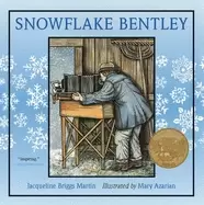 Image of snowflake bentley