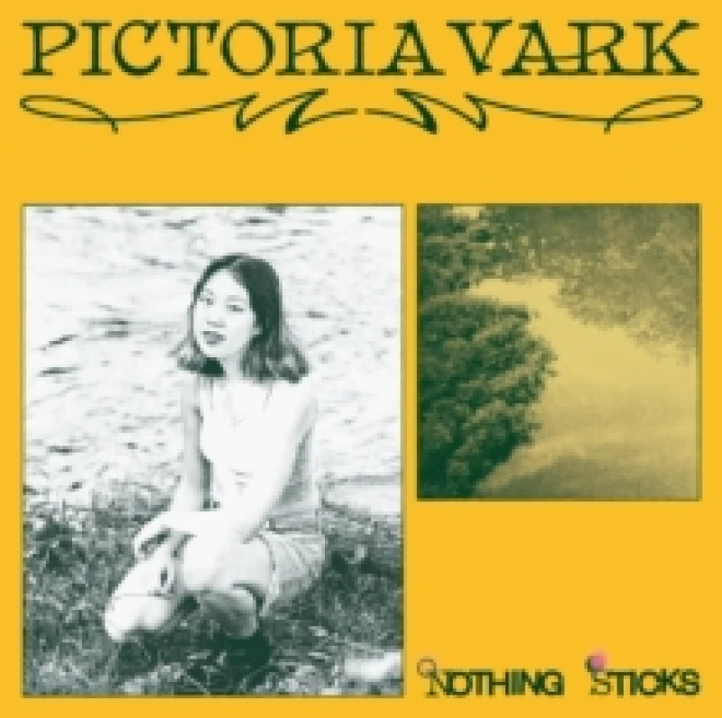 Image of Nothing sticks Vinyl