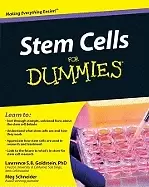 Image of stem cells for dummies