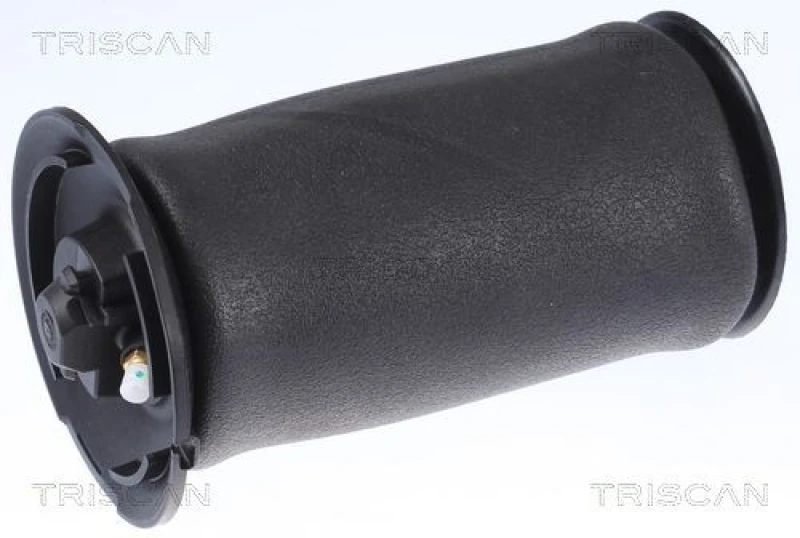 Image of TRISCAN Air Spring, suspension TRISCAN 8720 11202