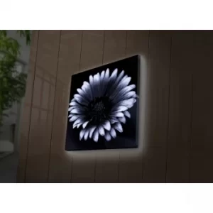 Image of 4040DACT-33 Multicolor Decorative LED Lighted Canvas Painting