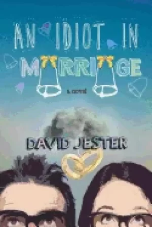 Image of idiot in marriage a novel