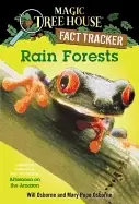 Image of rain forests