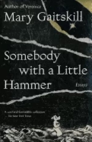 Image of somebody with a little hammer essays