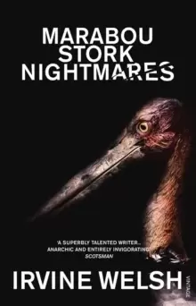 Image of Marabou Stork Nightmares
