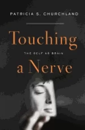 Image of touching a nerve the self as brain