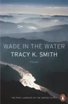 Image of Wade in the Water