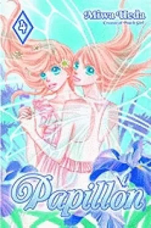 Image of papillon 4