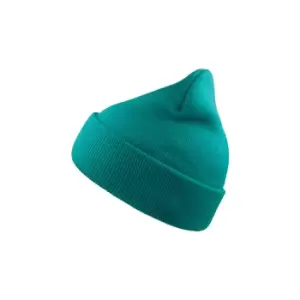 Image of Atlantis Wind Double Skin Beanie With Turn Up (One Size) (Turquoise)