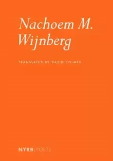 Image of Nachoem M. Wijnberg
